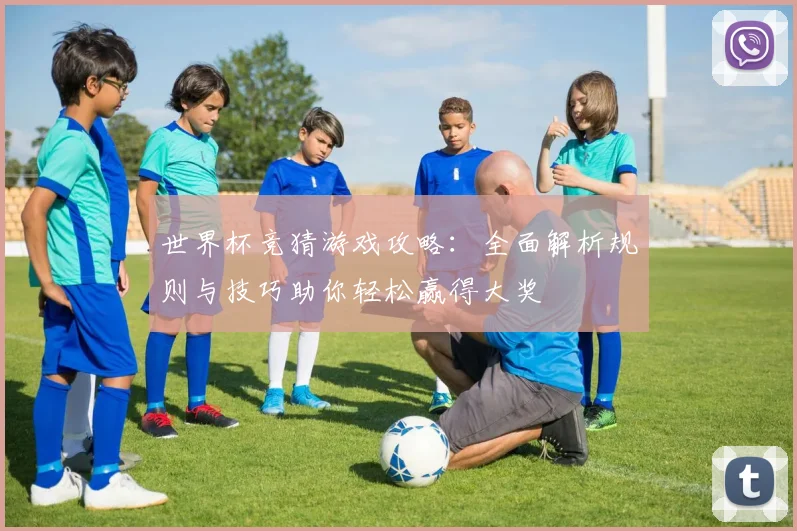 世界杯竞猜游戏攻略：全面解析规则与技巧助你轻松赢得大奖