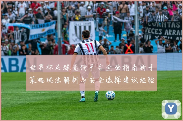 世界杯足球竞猜平台全面指南新手策略玩法解析与安全选择建议经验分享