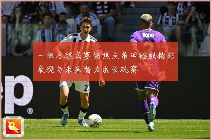 一级方程式赛场焦点角田裕毅精彩表现与未来潜力成长观察