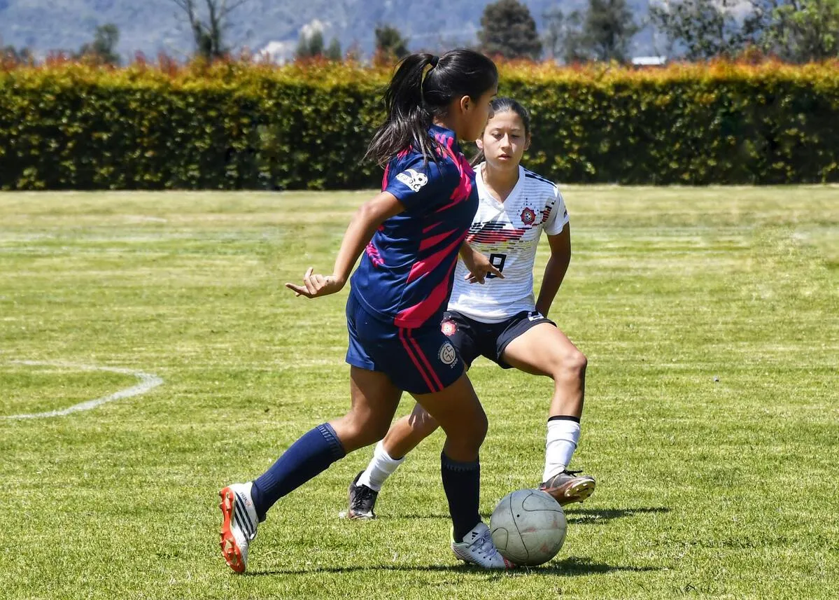 美加墨世界杯赛程分析与竞猜预测全面解读