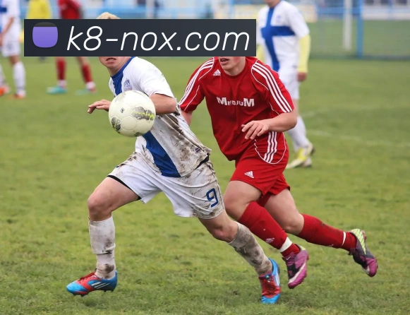 凯发娱乐全站App